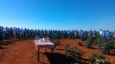 É tempo de planejar a nova safra.
