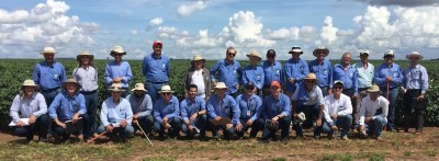 Ceres Consultoria Agronômica e GBCA em campo!